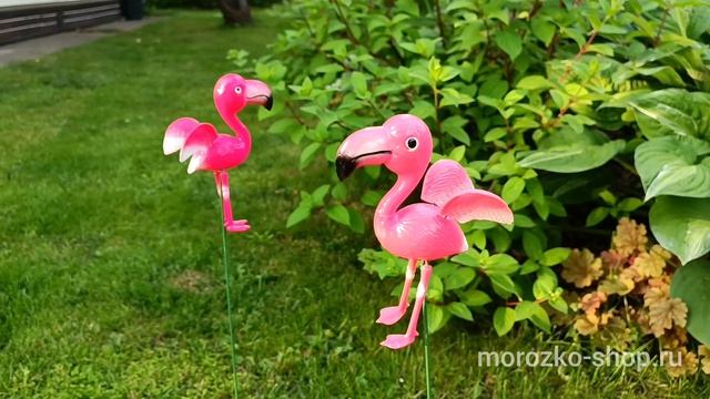 Садовый штекер ФЛАМИНГО ДУГЛАС, металл, пластик, розовый, 67 см 557000900-4 смотреть онлайн