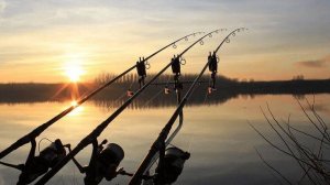 Подержите меня подпиской на ТГК