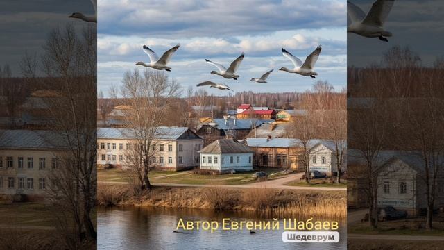 Прилетели ночью лебеди.
Автор Евгений Шабаев 
#курск #белгород #воронеж #липецк #брянск