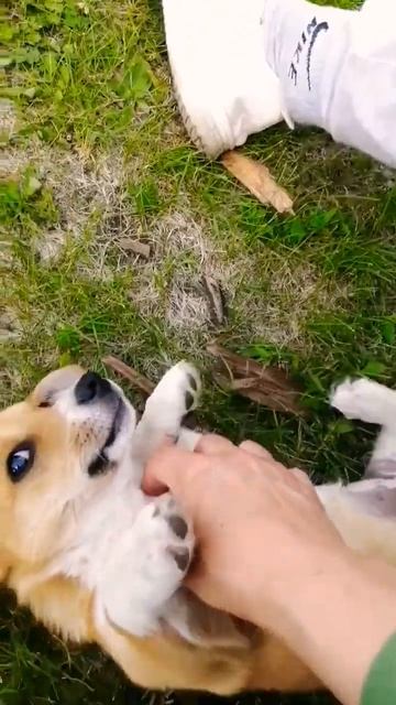 4 августа 2023 г. смотреть онлайн