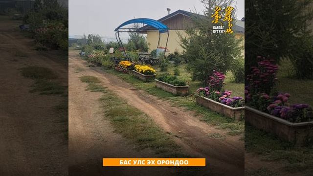 Ц.БАЯР: МОД ҮРЖҮҮЛЭГ ТАНЫГ ТЭЖЭЭХ ЭДИЙН ЗАСАГ смотреть онлайн