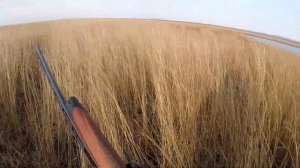 Охота на водоплавающих осень 2023