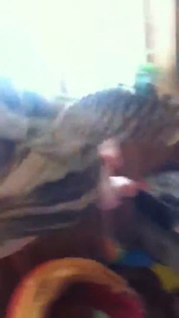 Черепаха монстр смотреть онлайн