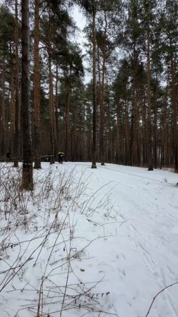 Зимним кантри-кросс велосипед