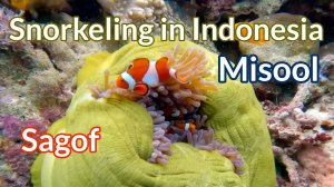 Sagof - Misool, Raja Ampat - 4K Snorkeling in Indonesia