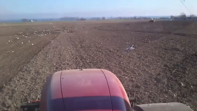 Case IH Puma 210 + Carrier 650