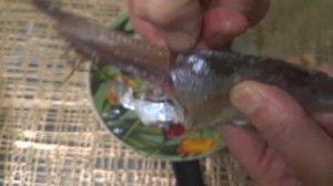 Едим вяленую, жирную, полупрозрачную чехонь.