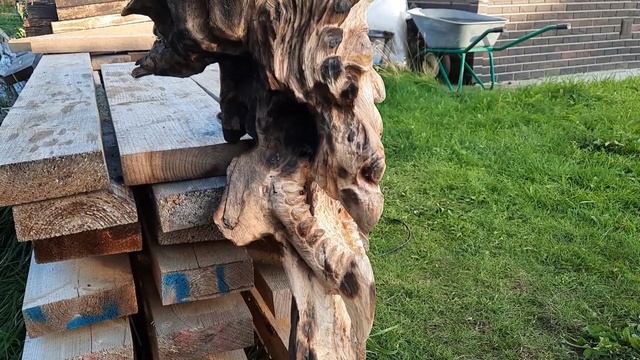 Светильник из обгоревшего корня сосны! смотреть онлайн