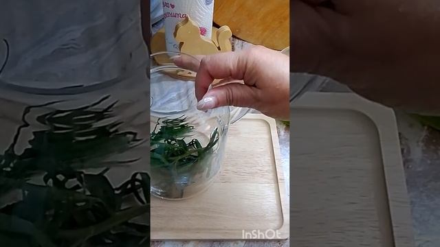 домашний тархун.правильный и простой рецепт.