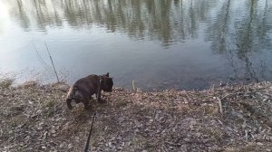 Снова весна