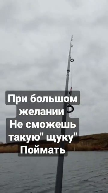 #рыбалка #весна2023 #щука смотреть онлайн
