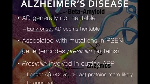 Brain Aging - Part 1 of 2 смотреть онлайн
