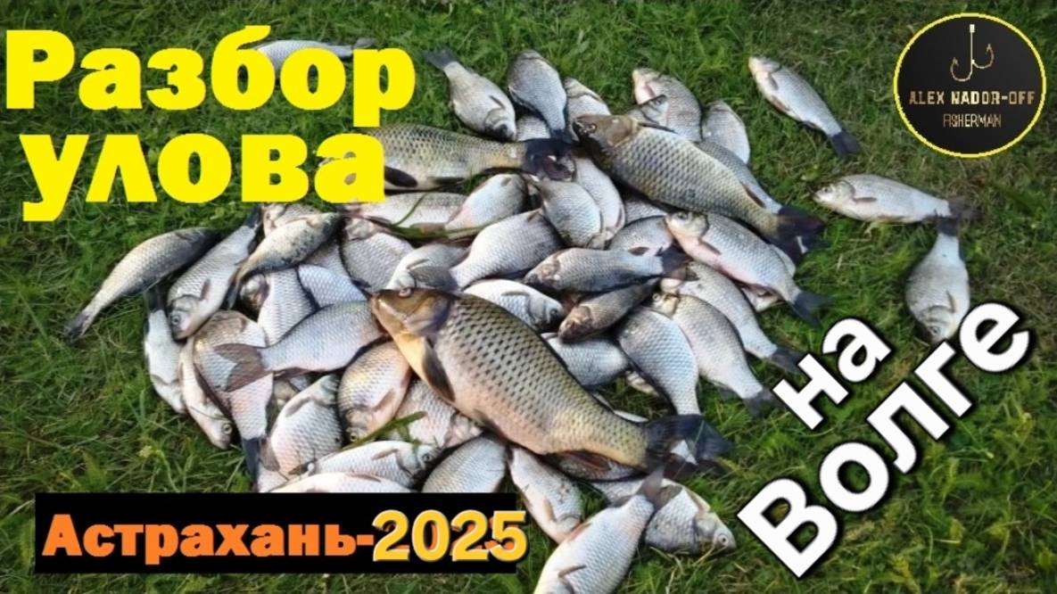 🔥Запреты и ВОБЛА🐟: на Волге бешеный КЛЁВ!!⭐Рыбалка а Апреле г. Астрахань !!! Диалоги о рыбалке...