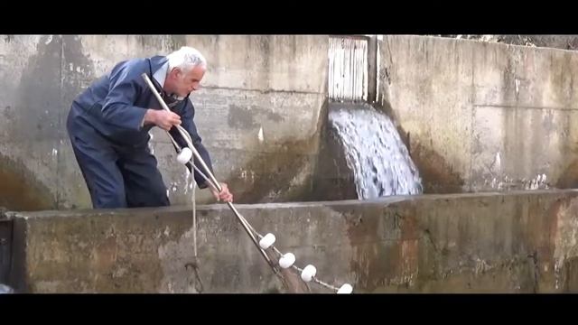 ორაგული/Форель смотреть онлайн