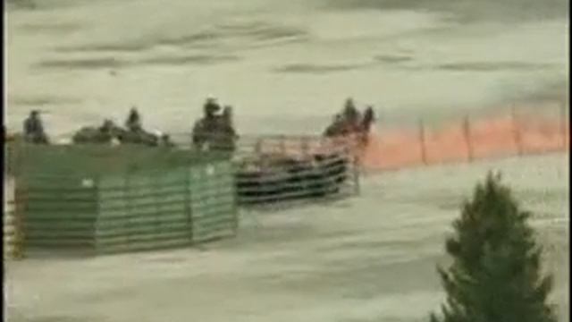 BFC: Bison Capture 6/08/07 смотреть онлайн