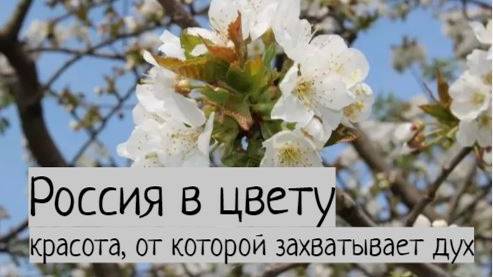 Живая поэзия: удивительные уголки России, где время останавливается