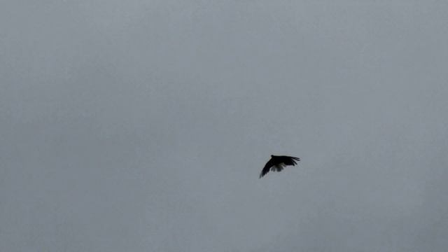 Су-57 смотреть онлайн