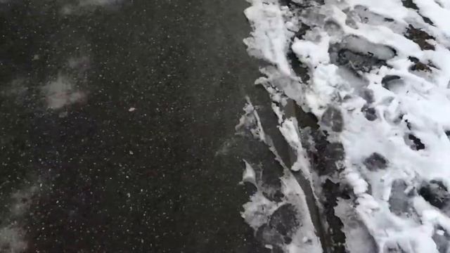 Марафон 10000 шагов ежедневно. 22.03.2021