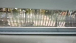 Рыбы пропали