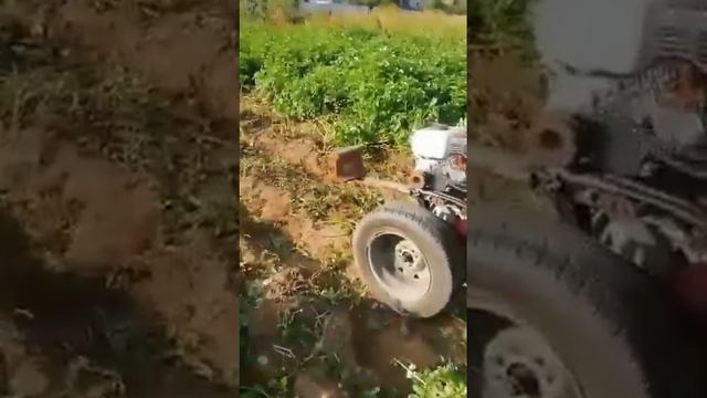 Неудачное испытание картофелекопалки. смотреть онлайн