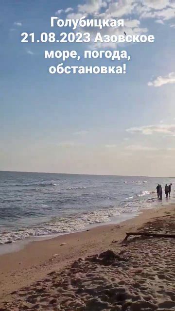 Голубицкая 21 августа 7 часов утра. Погода, обстановка, медузы! #азовское_море смотреть онлайн