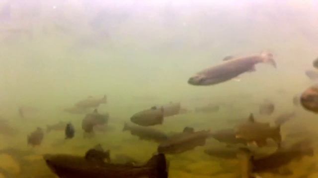 28 06 2016 р смотреть онлайн