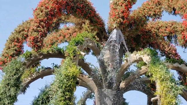 Dubai Miracle Garden//Botanica garden ..#miraclegardendubai#thingstodoindubai#miraclegardenwalkvlog