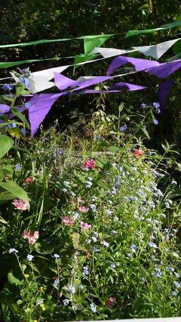 #shorts Garden - Nemesia and Forget-me-nots - at SUFFRAGETTE MOUSE CASTLE LONDON смотреть онлайн