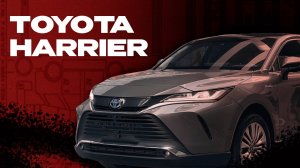 Обзор Toyota Harrier на стоянке  JAS