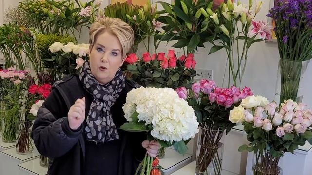 The Secret to Long Lasting Cut Hydrangeas смотреть онлайн