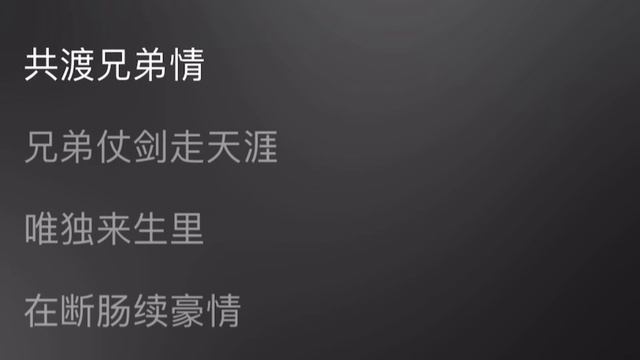 Лю Юйнин - 兄弟情 / Xiong Di Qing / Братские чувства