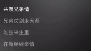 Лю Юйнин - 兄弟情 / Xiong Di Qing / Братские чувства