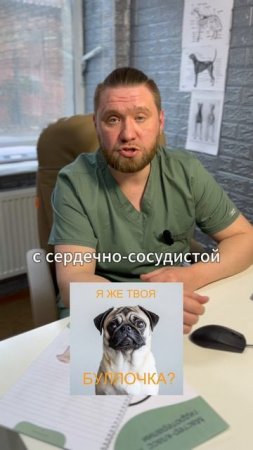 собака мало двигается=ожирение?