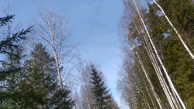 Ну что ,наблюдаем???Сколько продержится Лена Хеппи на диете! смотреть онлайн