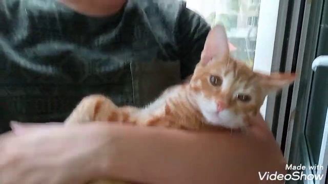 КАКАЯ ОНА,СЕМЕЙНАЯ ЖИЗНЬ? смотреть онлайн