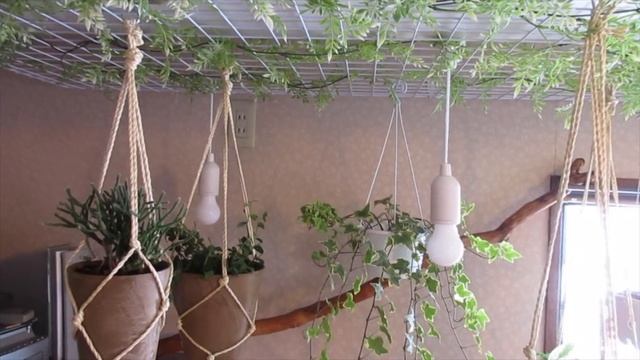 【二世帯住宅ルームツアー】家族と共に変わる住まい#57｜【Two-family house room tour】A home that changes with our family. смотреть онлайн