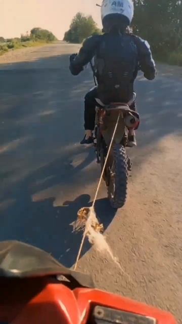 Эдит #irbis #ttr #125 #cc #питбайк #эндуро #automobile #smartphone #fry #dirtbike смотреть онлайн