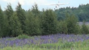 Самолет СМ-451 Беркут