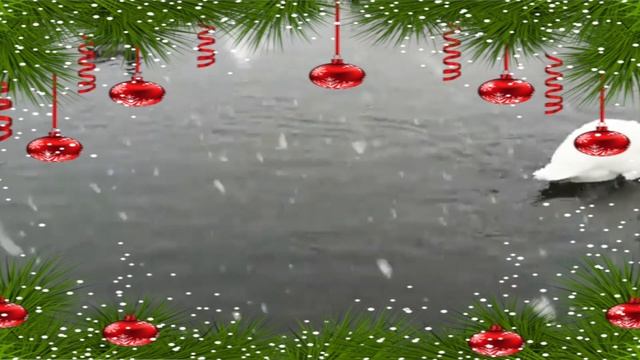 Lexi Cohen: Swan Lake by Tchaikovsky смотреть онлайн