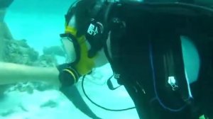 World Record Scuba Dive Robert Silva