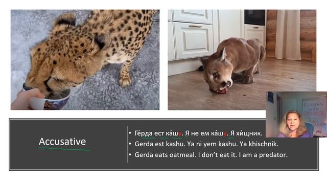 Russian with Puma Messi. Cases of Nouns смотреть онлайн