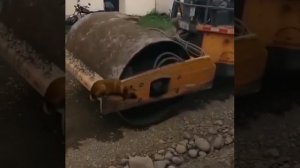 ЖЕСТЬ. Собака попала под каток. Слабонервным не смотреть