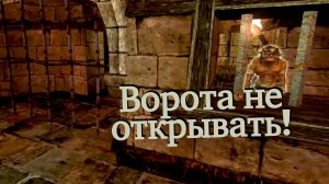Arx Fatalix крутая RPG  прохождение часть 4 - паучьи пещеры, город Аркс, гоблины, пещеры, лицензия.