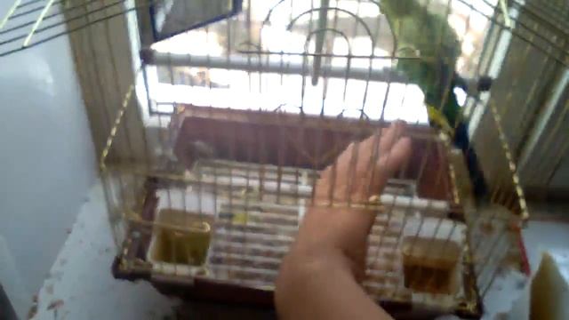 7 сентября 2016 г. смотреть онлайн