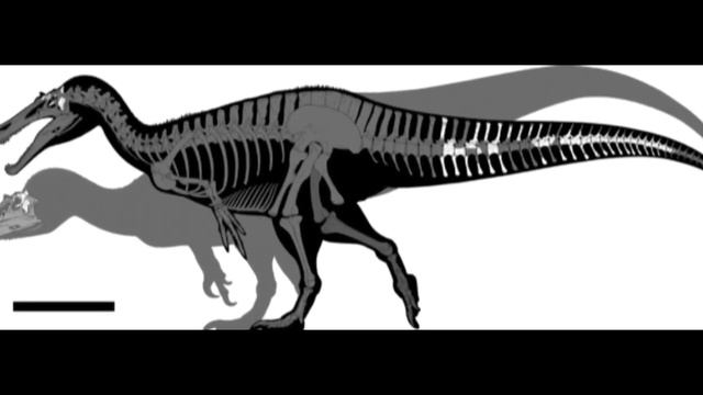 paleopedia: ceratosuchops inferodios (garza infernal). смотреть онлайн