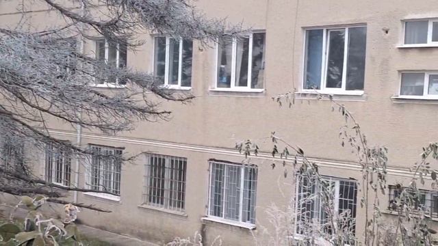 Хрустальные деревья стоят нарядные, LIKE EVA plus смотреть онлайн