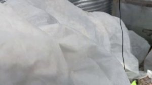 Поможет ли теплофон в теплице?