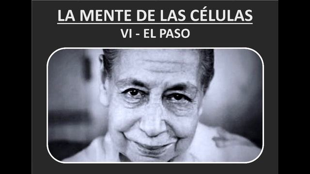 LA MENTE DE LAS CÉLULAS - 6 EL PASO смотреть онлайн