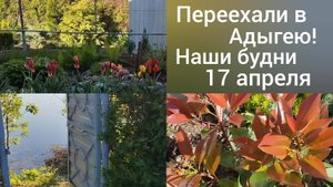 Переехали из Омска в Адыгею/Наши будни 17 апреля/Покраска в саду/Речка разлилась/