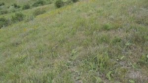 Крым. Село Лечебное. Накапительный водоём Фисташковый сад. 29.05.2024 год.